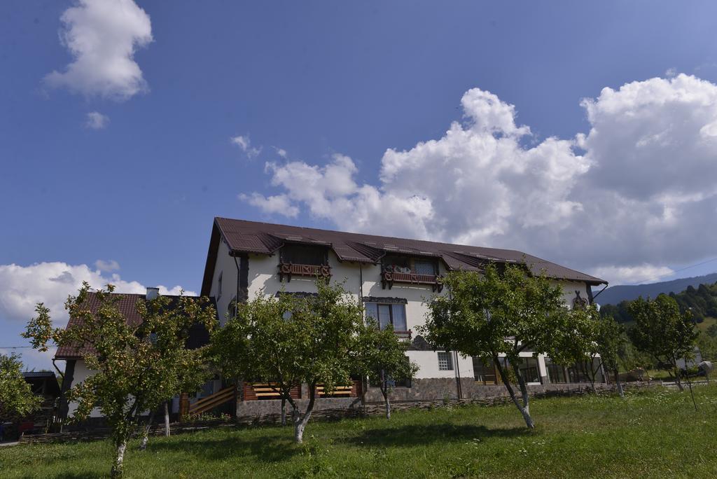 Pensiunea Lacramioara Săcel Exterior foto