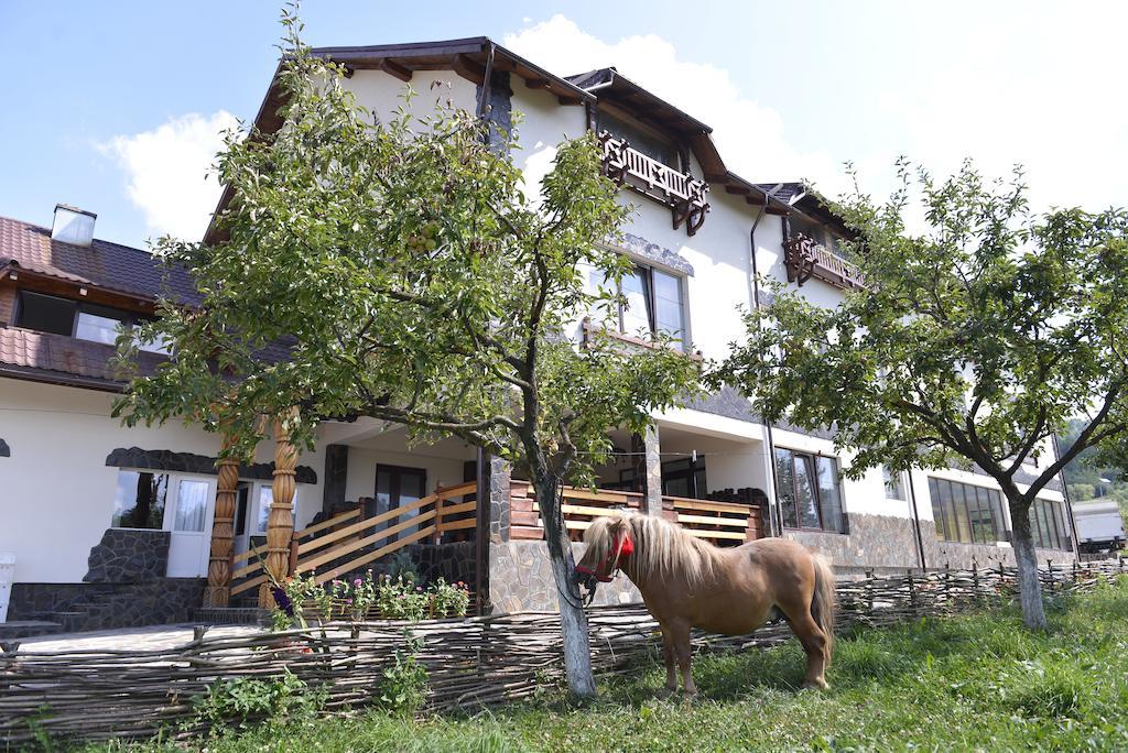 Pensiunea Lacramioara Săcel Exterior foto