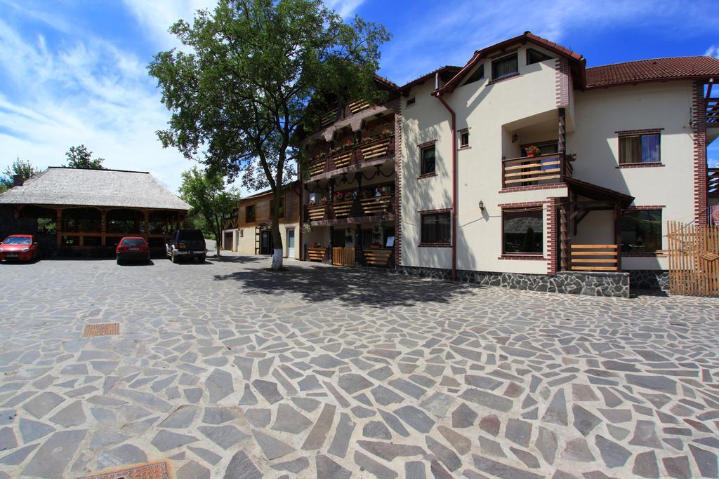 Pensiunea Lacramioara Săcel Exterior foto